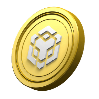 BNB coin decorative graphic from Binance in the statistics section of the Steady Deservonage platform